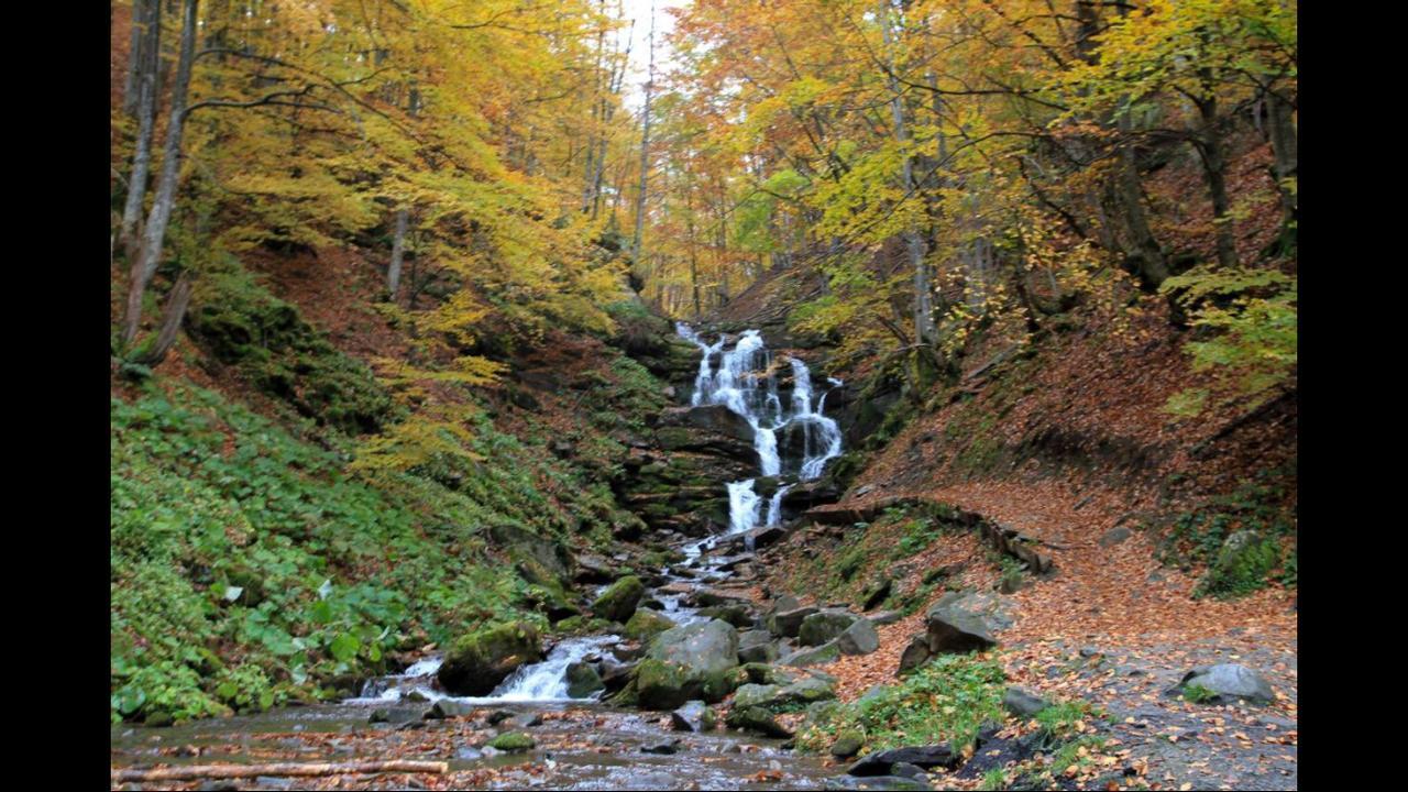 Sadyba Domashniy Zatyshok Pilipets Exterior photo